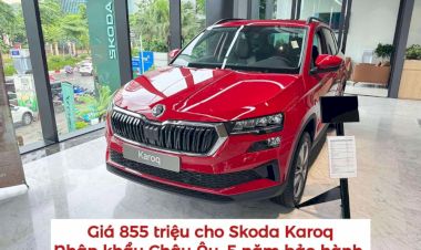 Skoda giảm giá mạnh cho Karoq còn 855 triệu, Kodiaq còn hơn 1 tỷ